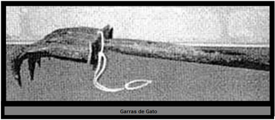 image 112 - A Realidade Acerca da Filosofia