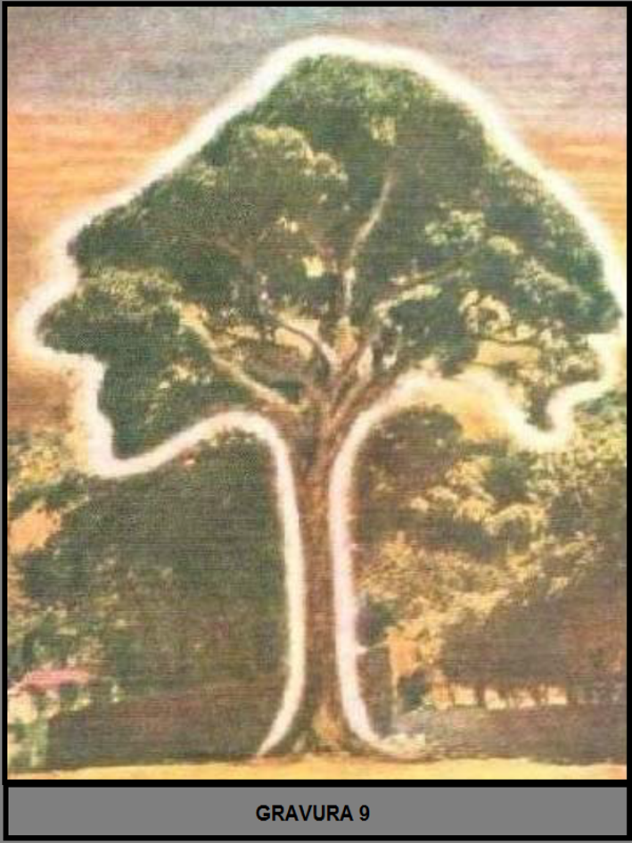 image 240 - A Realidade Acerca da Filosofia