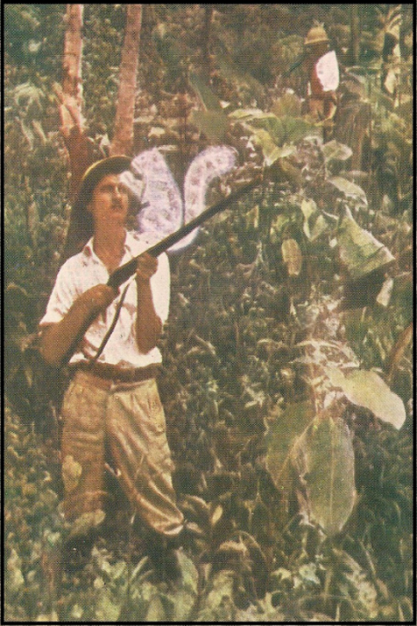 image 259 - A Realidade Acerca da Filosofia