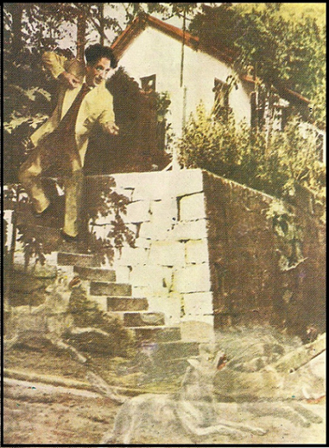 image 260 - A Realidade Acerca da Filosofia