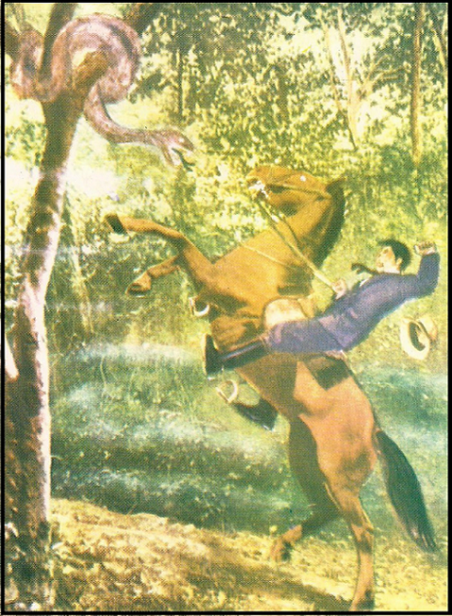 image 269 - A Realidade Acerca da Filosofia