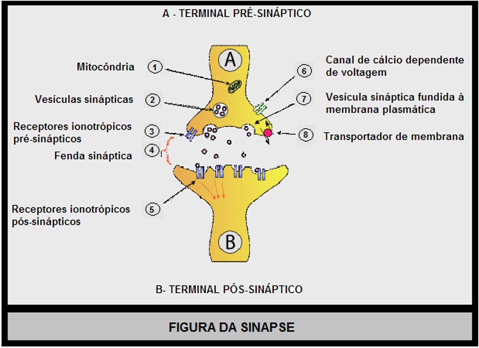 image 285 - A Realidade Acerca da Filosofia