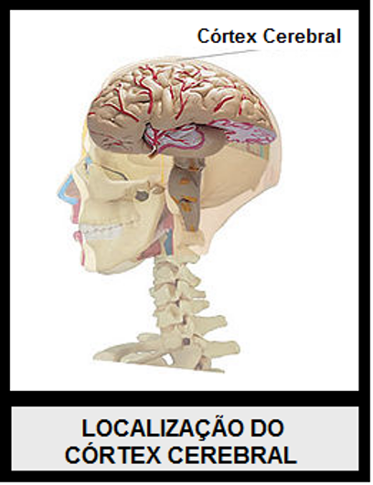image 286 - A Realidade Acerca da Filosofia