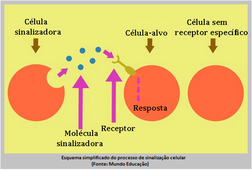 image 288 - A Realidade Acerca da Filosofia