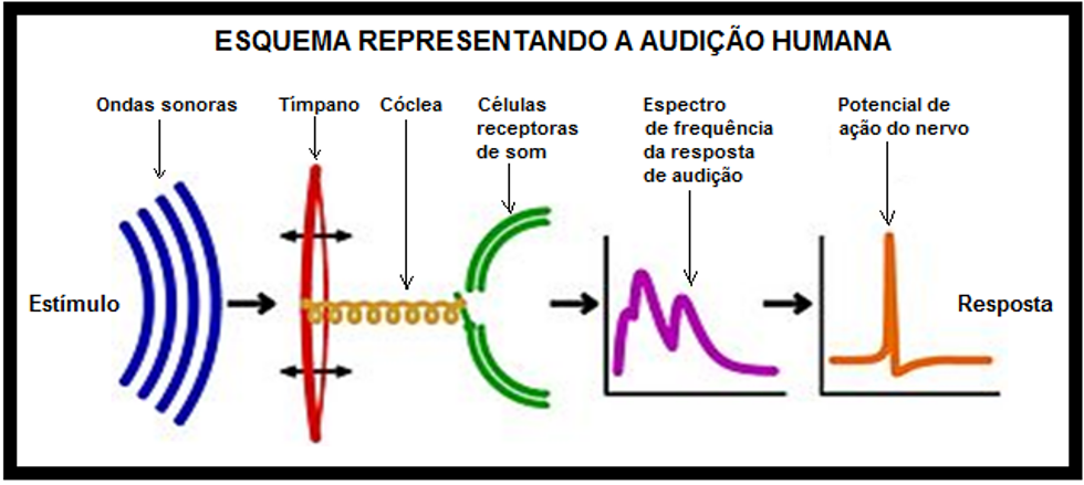 image 299 - A Realidade Acerca da Filosofia