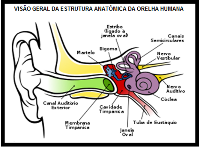 image 300 - A Realidade Acerca da Filosofia