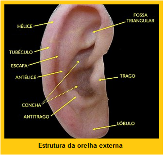 image 301 - A Realidade Acerca da Filosofia