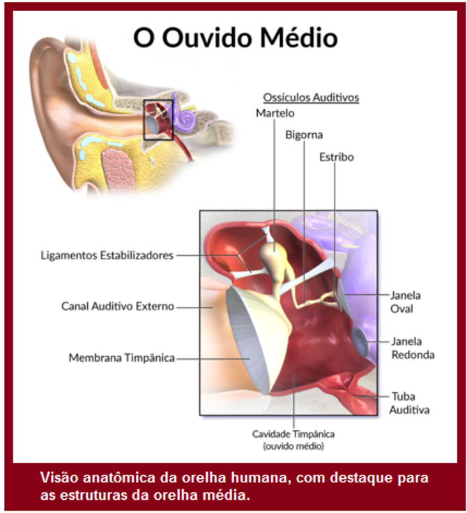 image 302 - A Realidade Acerca da Filosofia