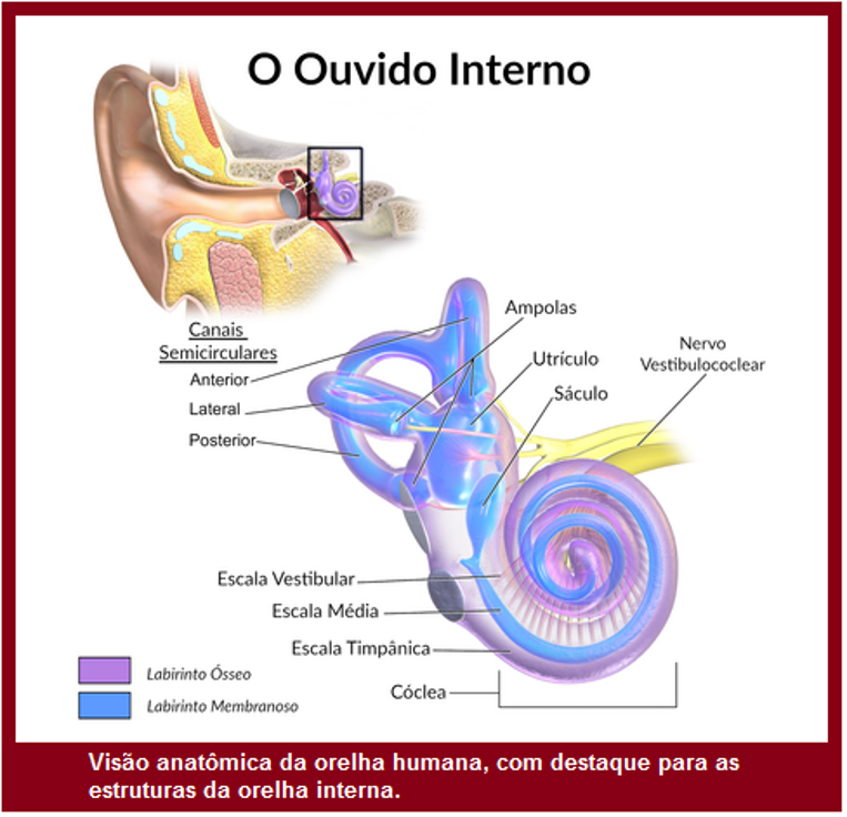 image 303 - A Realidade Acerca da Filosofia