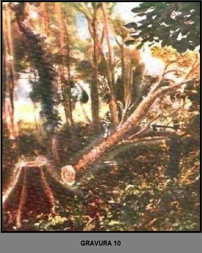 image 329 - A Realidade Acerca da Filosofia